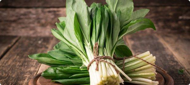 หัวหอมป่า