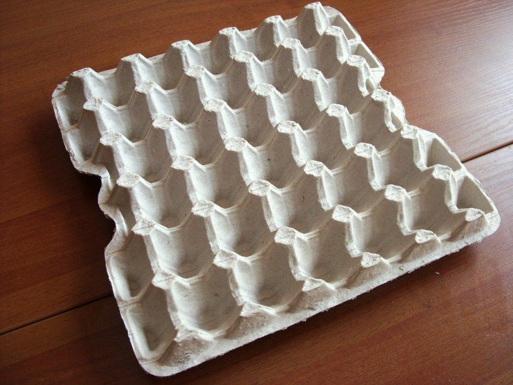 ถาดใส่ไข่