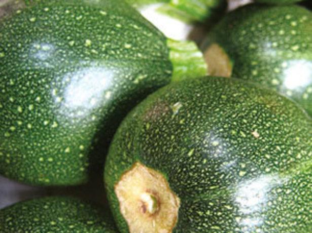 ซูกินี่กลม "Povarenok"