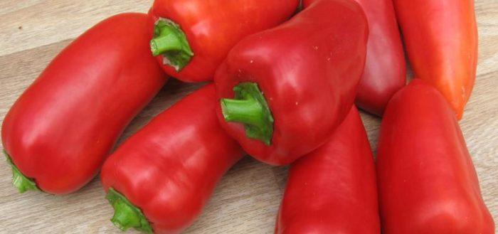 เปปเปอร์ โบกาตีร์