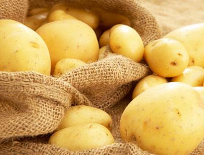 beaucoup de pommes de terre