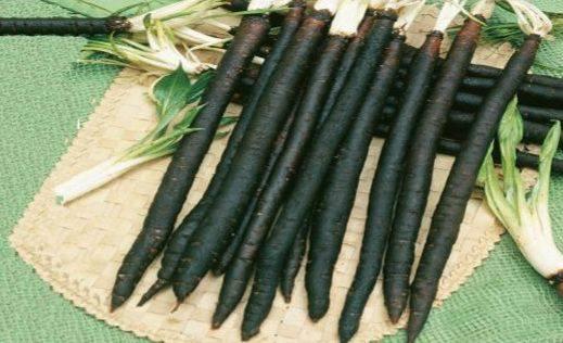 แครอทสุก