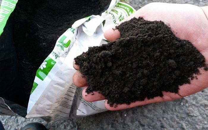 ซาโปรเพลในมือ