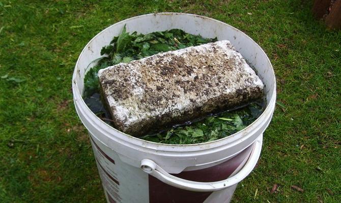 การแช่วัชพืช