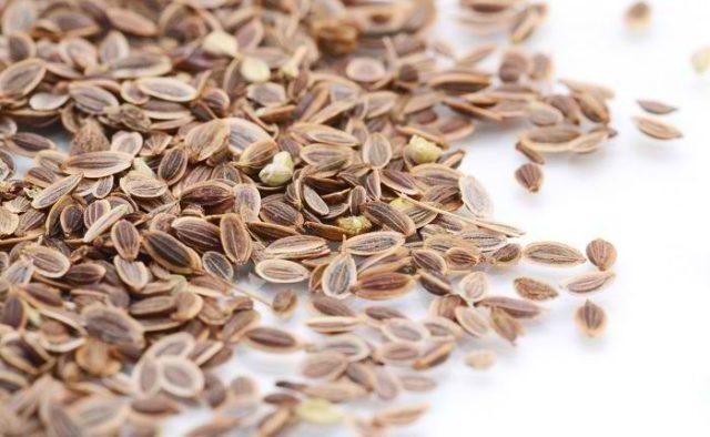 การใช้แปะ