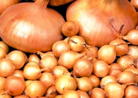 หัวหอมเยอะมาก