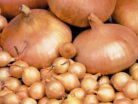 หัวหอมสุก