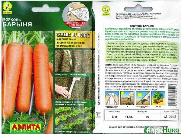 คุณหญิงแครอท