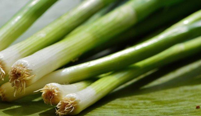 หัวหอมเวลส์