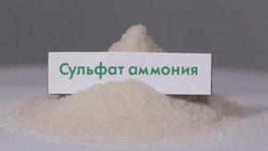 คำแนะนำการใช้แอมโมเนียมซัลเฟตและกฎการใช้ในสวน
