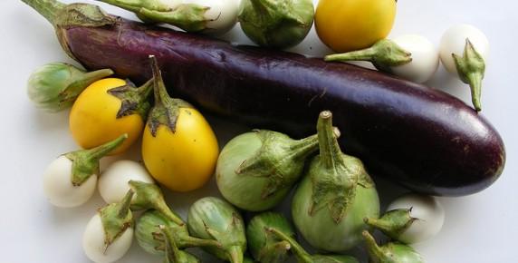 มะเขือยาวจำนวนมาก