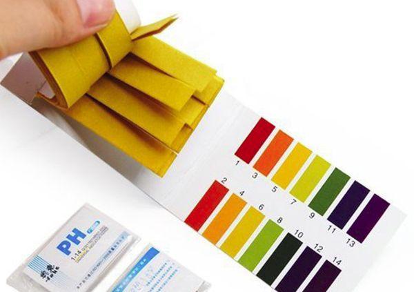 ตัวบ่งชี้ลิตมัส