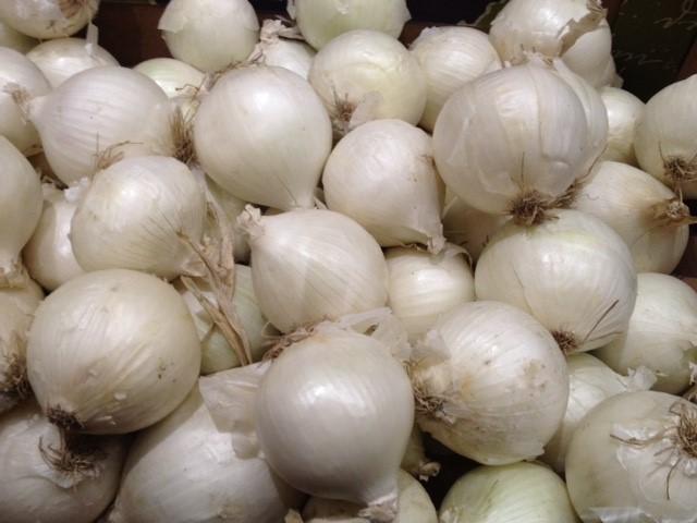 graines d'oignon blanc