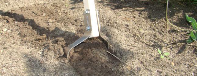 วัชพืช "สวิฟท์"