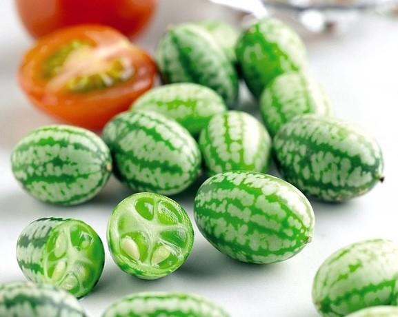 แตงกวาแอฟริกัน