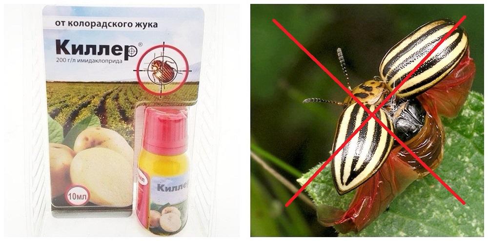 ยาเสพติดฆ่าคน