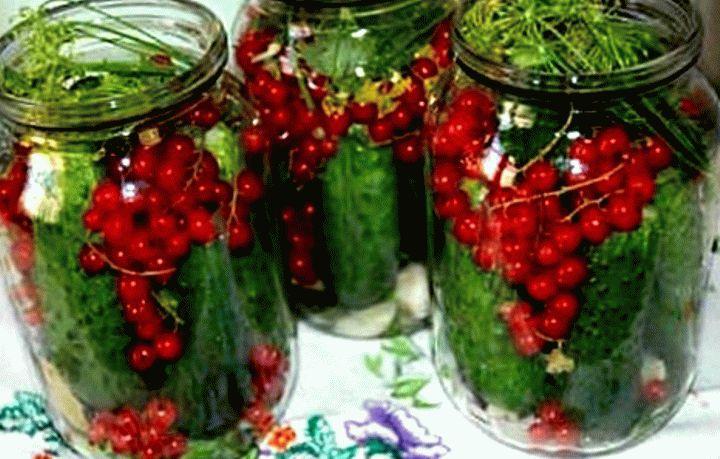 แตงกวาในขวดโหล