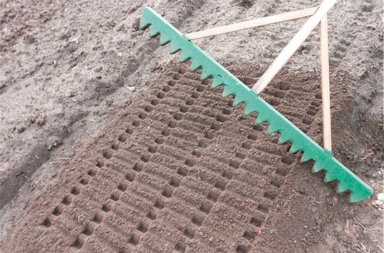 การเตรียมพื้นที่สำหรับการลงจอด