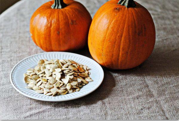 การเตรียมเมล็ดพันธุ์