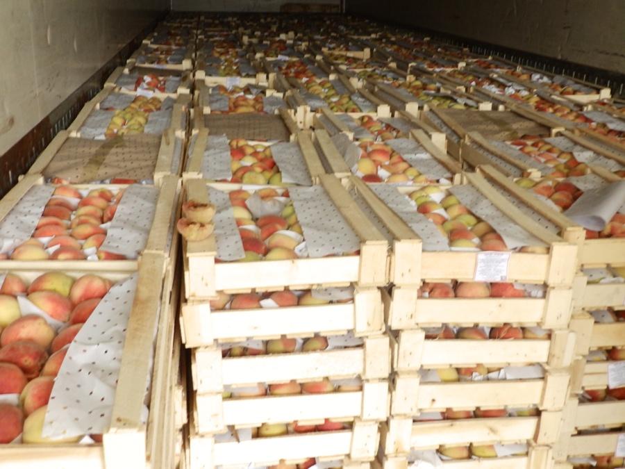 การจัดเก็บในกล่อง