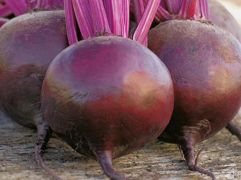 หัวบีทรูททรงกลม