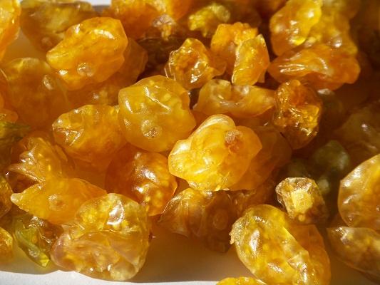 ลูกเกดฟิซาลิส