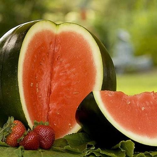 แตงโมชูก้าเบบี้