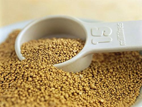 การดูแลบาร์เบอร์รี่