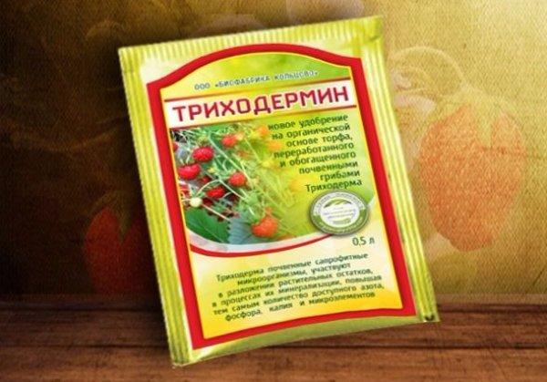 ไตรโคเดอร์มินสำหรับพืช