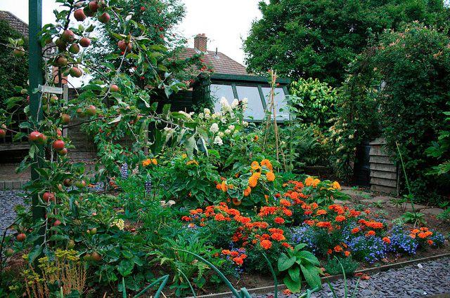 แอปเปิ้ลและดอกไม้