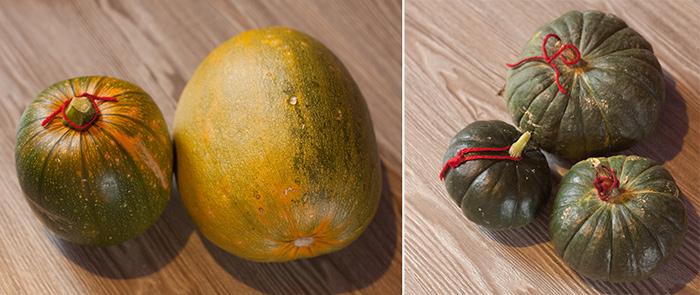 ฟักทองเบบี้