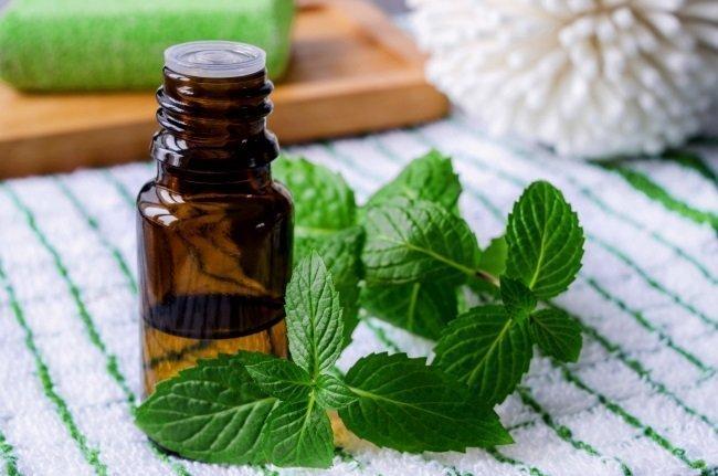 คุณสมบัติที่เป็นประโยชน์