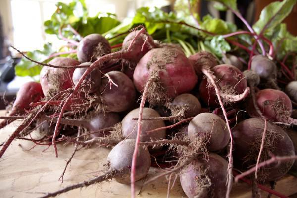 หัวบีทจากสวน