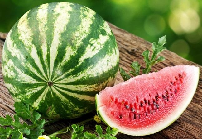 la pastèque est un cadeau du nord