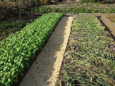 ตามวิธีคิซิม