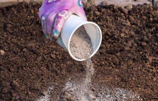 préparation à l'atterrissage