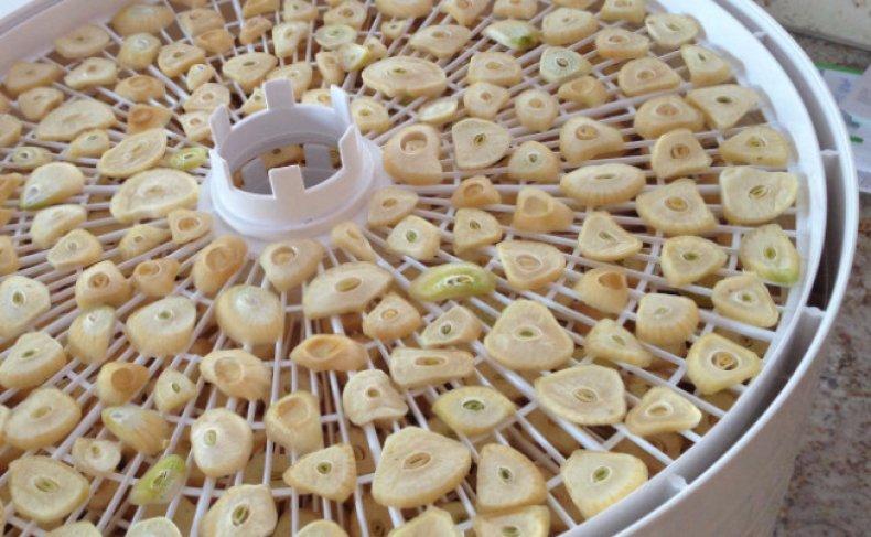 การเก็บรักษาและการอบแห้งกระเทียม