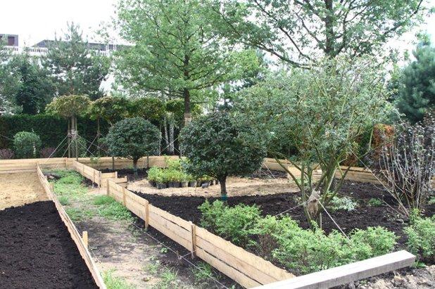 แผนการลงจอด