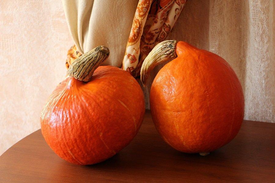 พันธุ์ลูกผสม