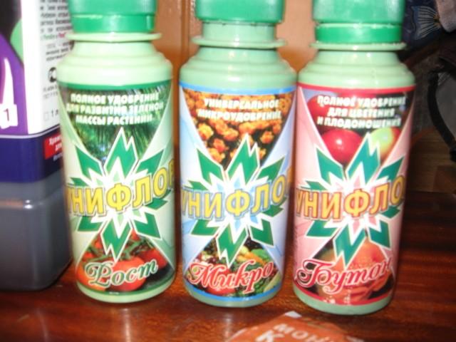 เพื่อเร่งการเติบโต