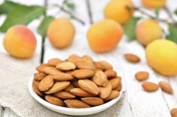 ประโยชน์ของเมล็ดแอปริคอต
