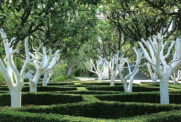 สวนของสแปงค์