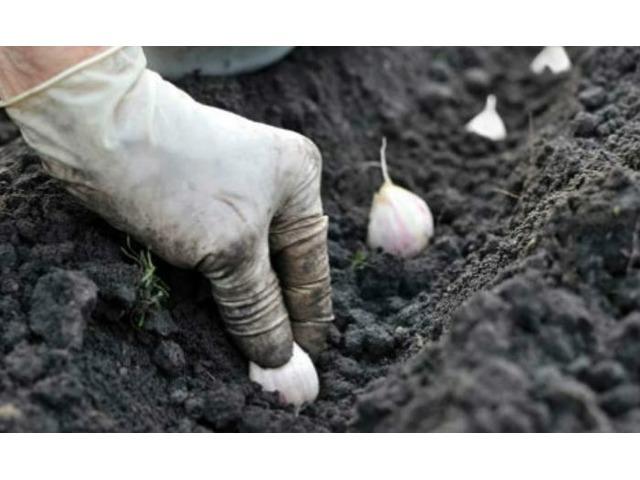 กฎการลงจอด