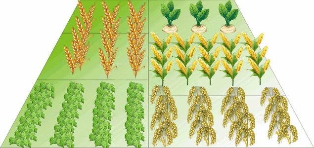 rotation des cultures