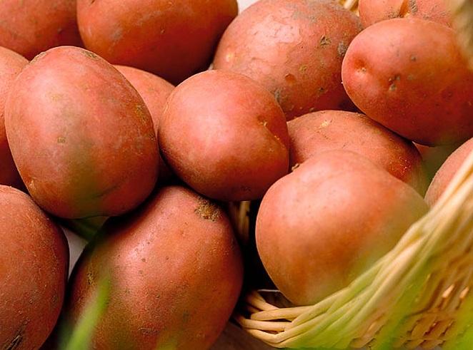 แม่บ้านมันฝรั่ง