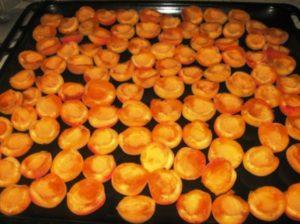 วิธีเก็บแอปริคอตแห้งที่บ้านอย่างถูกวิธี สถานที่และวิธีที่ดีที่สุด