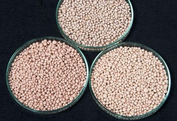 การใส่ปุ๋ยในสวน