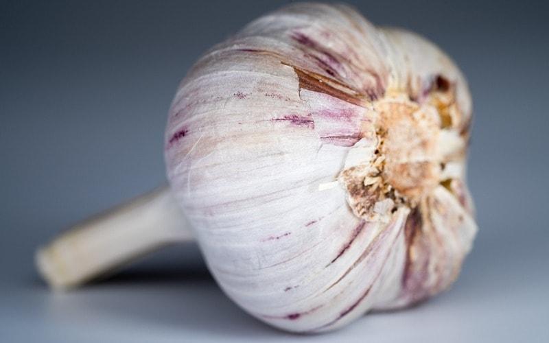 การอบแห้งกระเทียม