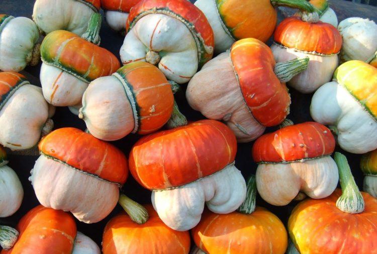 หนูน้อยหมวกแดง