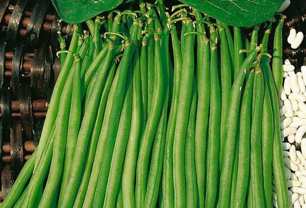 มอสโกว์ไวท์